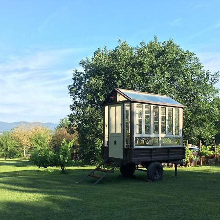 סוביצ'ילה Agriturismo Poggio Salvi מראה חיצוני תמונה