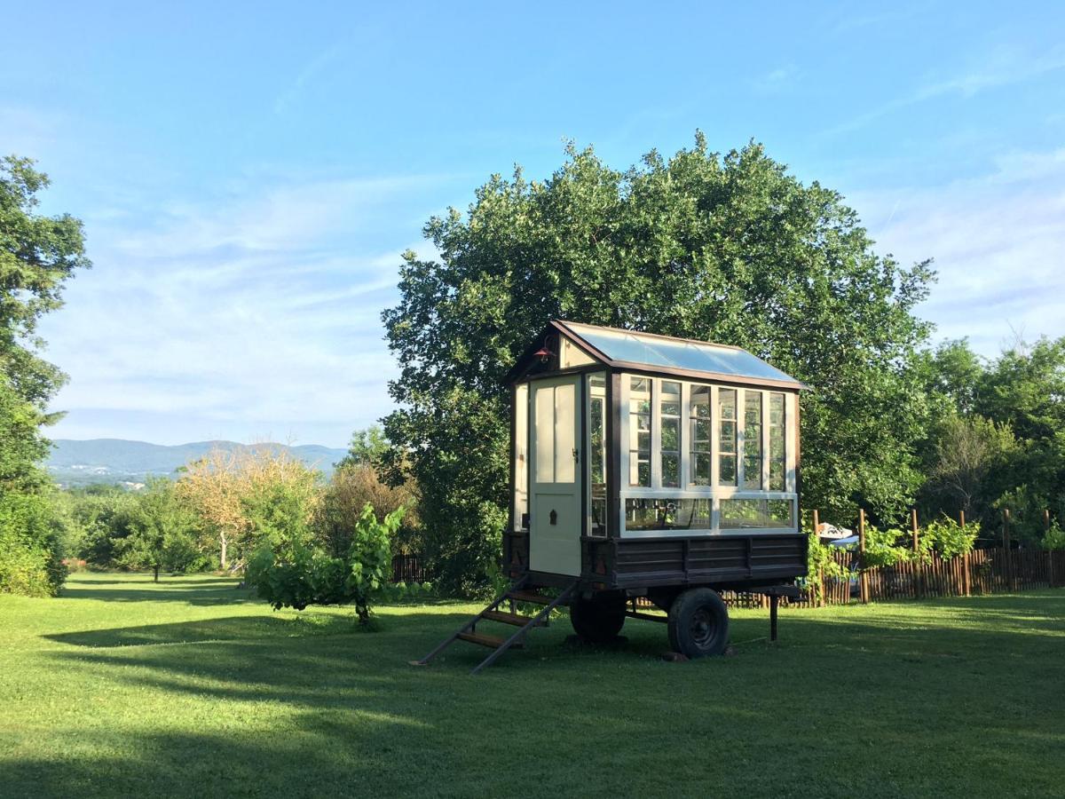 סוביצ'ילה Agriturismo Poggio Salvi מראה חיצוני תמונה